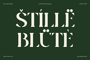 CS Chaya Drawn, a Serif Font by Craft Supply Co. (Thumbnail 7 of 8)