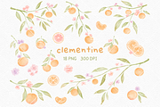 Clementine Clipart, a Decorative Illustration by greywalnutstudio (Thumbnail 1 of 4)