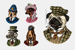 Fashion Dog. Animal character draw