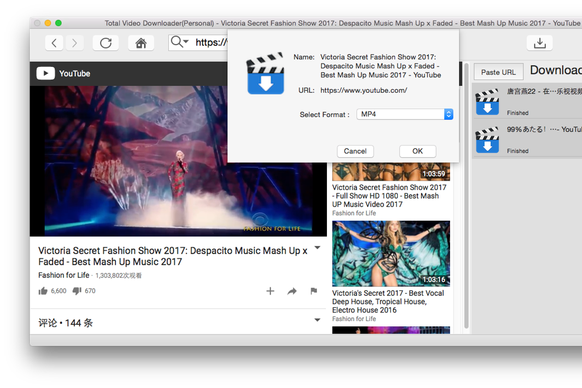 Total Video Downloader for Mac, an Action Add-On by EffectMatrix (Photo 8 of 14)