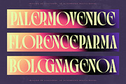Goodness Sacred Modern Serif Font, a Serif Font by timelesstype.co (Thumbnail 9 of 20)