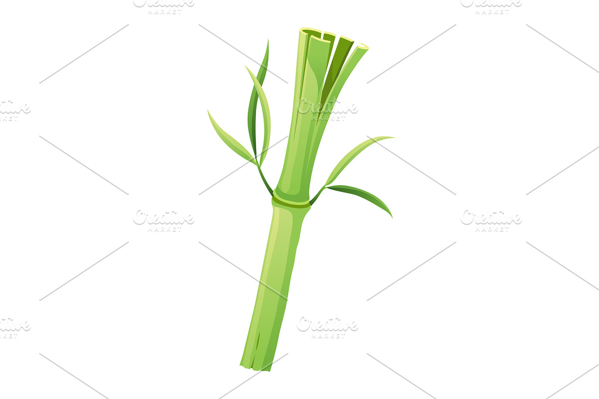 Bamboo green stalk, icon. Stem, an Object Illustration by Things for designers