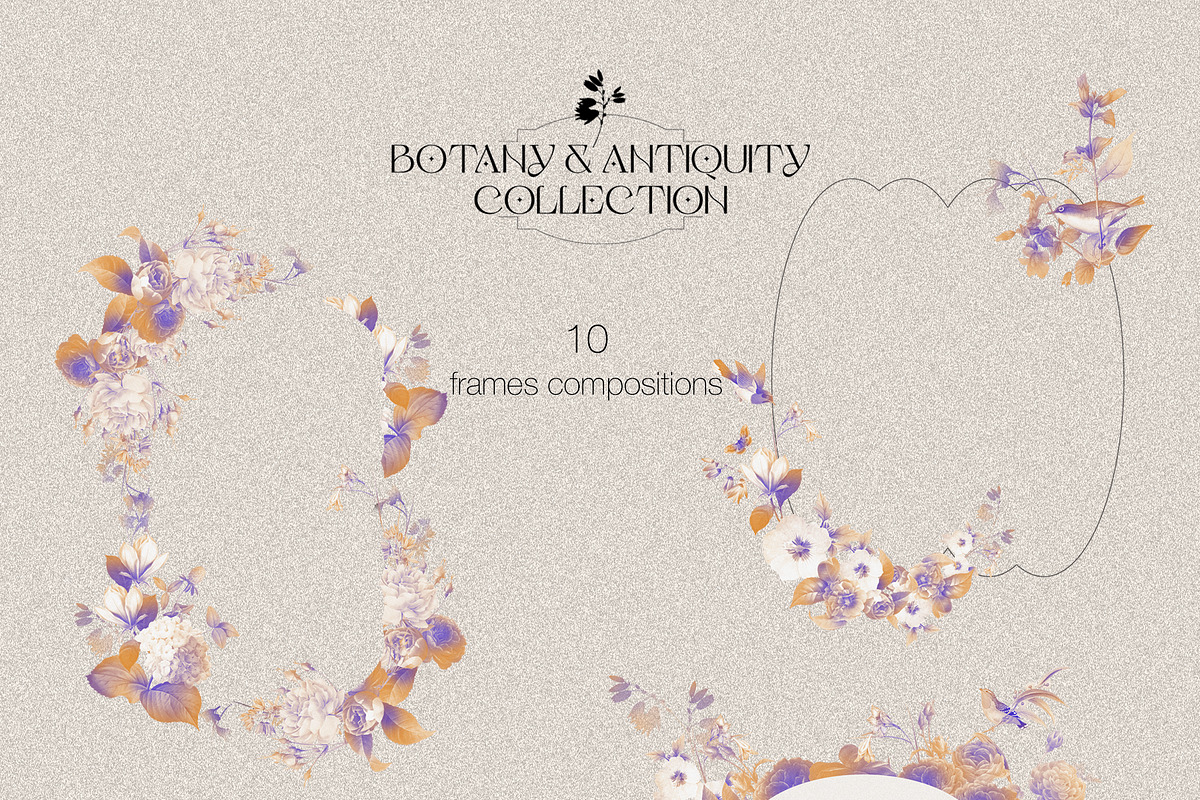 Botany & Antiquity Collection, an Object Graphic by Natali Batu (Photo 14 of 20)