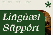 Alvinus Pixel, a Serif Font by Craft Supply Co. (Thumbnail 4 of 8)