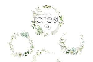 Forest - A Wild Greenery Set