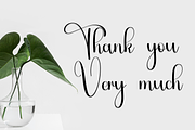 Timing, a Handwritten Font by FreshTypeINK (Thumbnail 5 of 7)