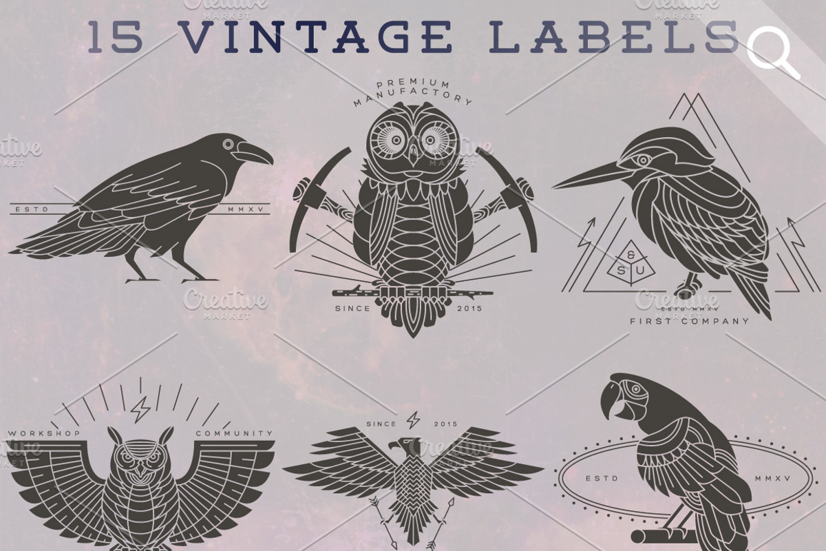 Bird Labels Bundle, a Graphic by karnofff