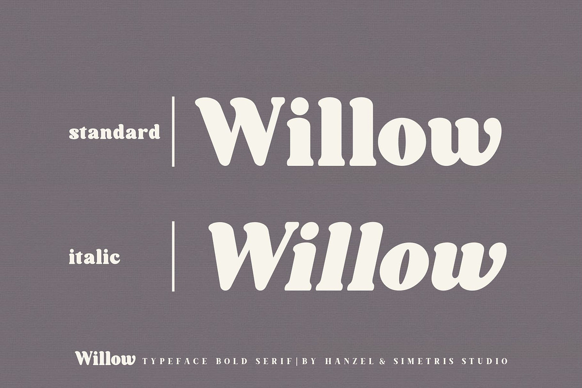 Willow. Typeface Bold Serif preview 5