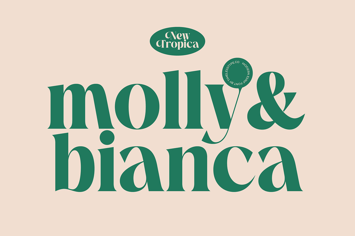 The Bencoy Modern Serif Display, a Serif Font by timelesstype.co (Photo 10 of 20)