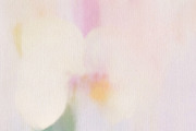 Giverny Watercolor Backgrounds, a Background Graphic by alonahaidash (Thumbnail 11 of 14)
