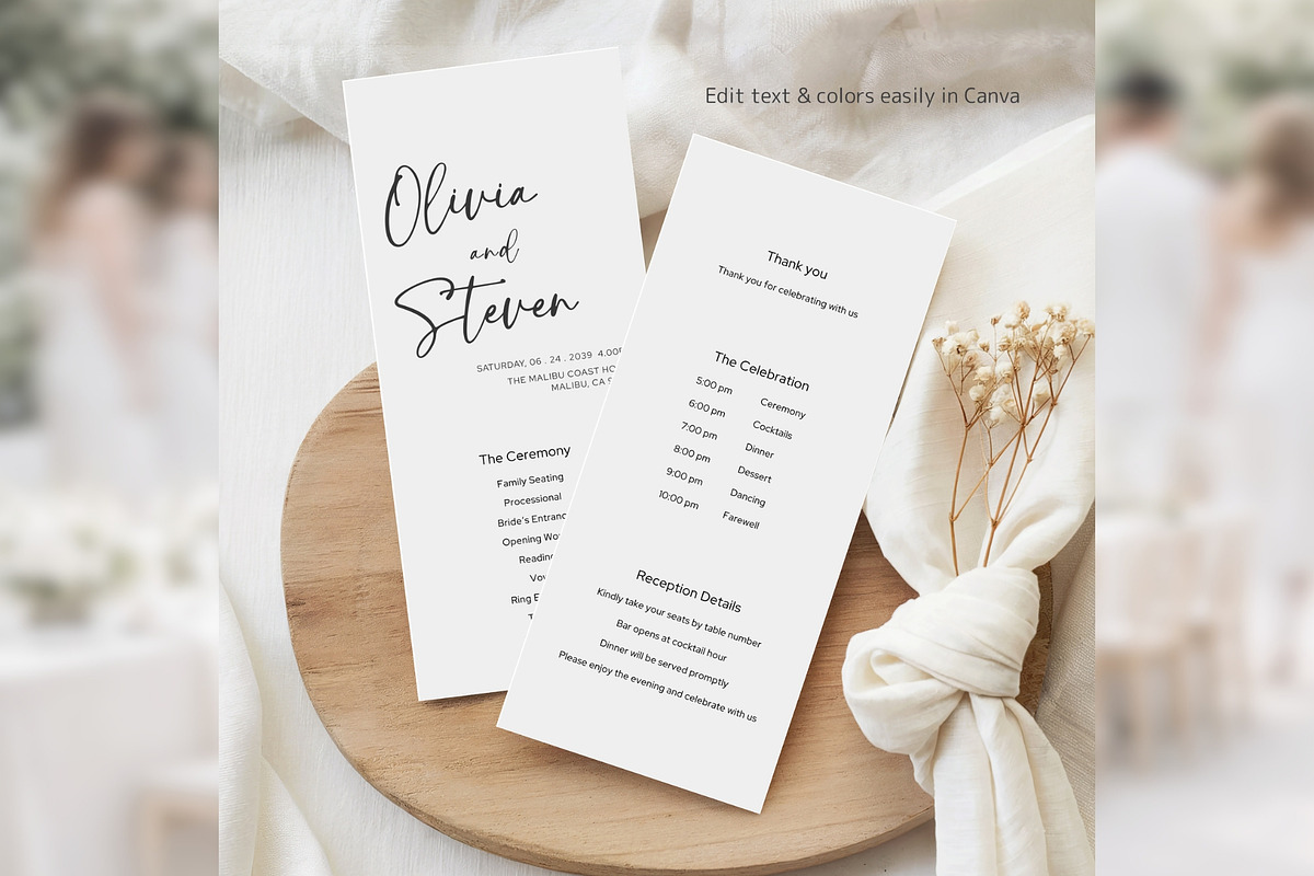 Modern Script Program Canva bd007, a Card Template by TyphoonStudio (Photo 3 of 10)