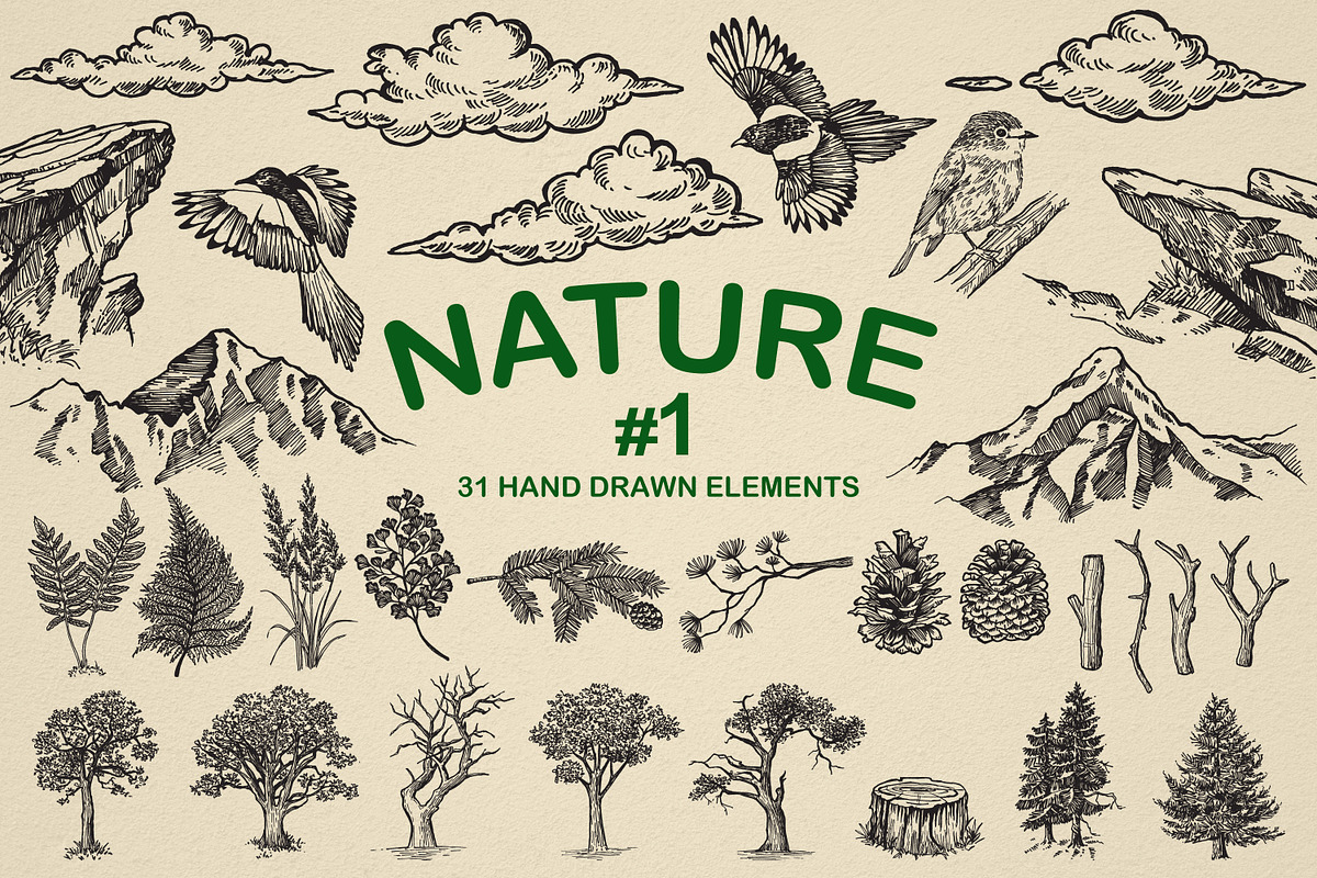 Nature Forest Hand drawn Elements #1, an Illustration by Artolabs (Photo 1 of 4)
