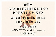 Galins – Ligature Typeface, a Serif Font by BrandSemut (Thumbnail 13 of 13)