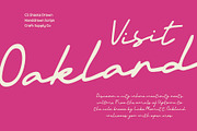CS Shasta Drawn, a Script Font by Craft Supply Co. (Thumbnail 5 of 8)