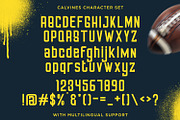 Calvines - Sporty Sans Serif, a Sans Serif Font by StringLabs (Thumbnail 8 of 8)