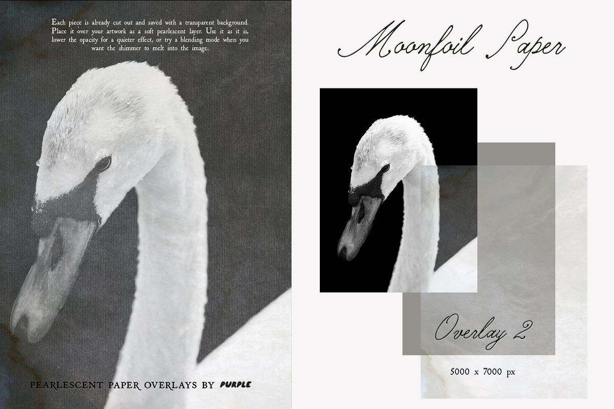 Moonfoil Paper: Pearlescent Overlays, a Texture Graphic by Purple (Photo 4 of 19)