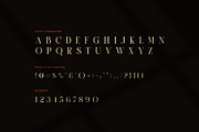 Saore Luxury Ligature Serif Font, a Serif Font by Perfectype (Thumbnail 7 of 8)
