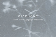 Diaphane - Blurry Floral Backgrounds, a Background Graphic by alonahaidash (Thumbnail 6 of 16)