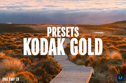 Kodak Gold Film Mobile Presets
