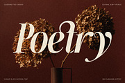The Silver Editorial - 18 Fonts Pack, a Serif Font by SilverStag Type Foundry (Thumbnail 5 of 30)