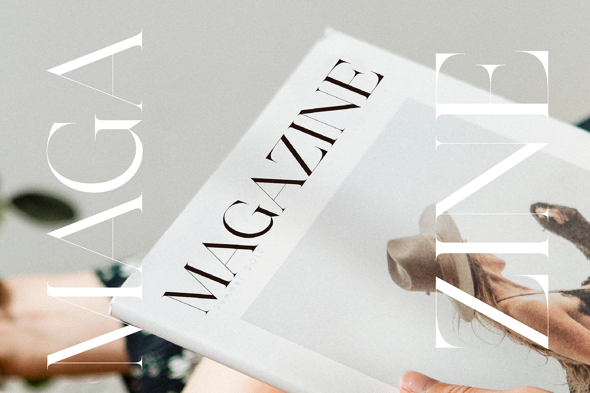 Hamster Modern Serif Font, a Serif Font by Letterena Studios (Photo 10 of 15)