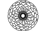 Vintage Botanical Flower Vector Set, an Object Illustration by Designer_Momina (Thumbnail 17 of 26)