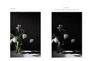 FINE ART BLACK + WHITE PS ACTIONS, an Action Add-On by Foto Rx Co. (Thumbnail 8 of 14)