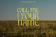 EUBERGINE - Display, a Font by Typetemp Studio (Thumbnail 14 of 16)