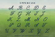 Lucid Wake Pixel Calligraphic Script, a Script Font by Struvictory.art (Thumbnail 5 of 9)
