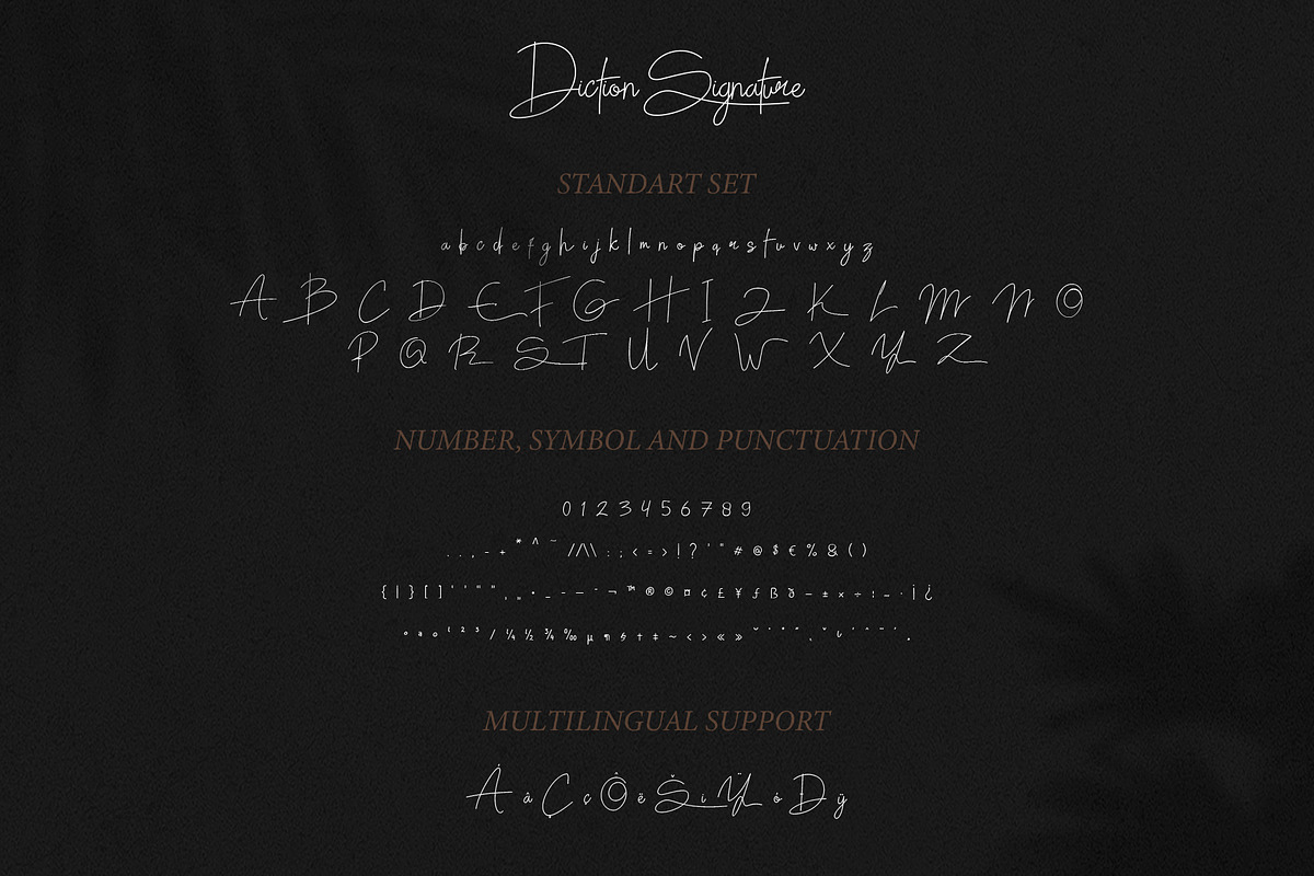 Diction Signature – Handwritten Font, a Handwritten Font by MEANDSTUDIO (Photo 9 of 10)