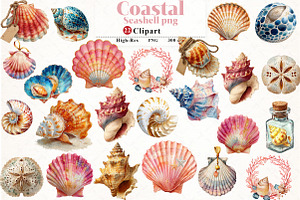 Coastal Seashell  Clipart, an Illustration by Watercolor design