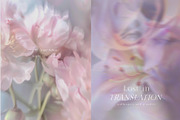 Organic Blurry Floral Backgrounds, a Background Graphic by Grace Noboa Illustrations (Thumbnail 5 of 13)