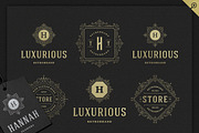 500 ornaments logos & monograms, a Branding & Logo Template by Vasya Kobelev (Thumbnail 22 of 31)