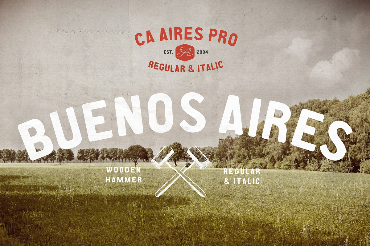 CA Aires Pro, a Sans Serif Font by Cape Arcona Type Foundry (Photo 7 of 7)