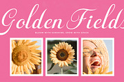 Fagibestin Elegant Script Font, a Script Font by timelesstype.co (Thumbnail 14 of 20)