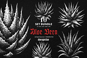10 Bundle Dark Art Aloe Vera Cactus, an Illustration by Morspective (Thumbnail 1 of 7)