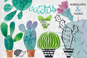 Сactus set