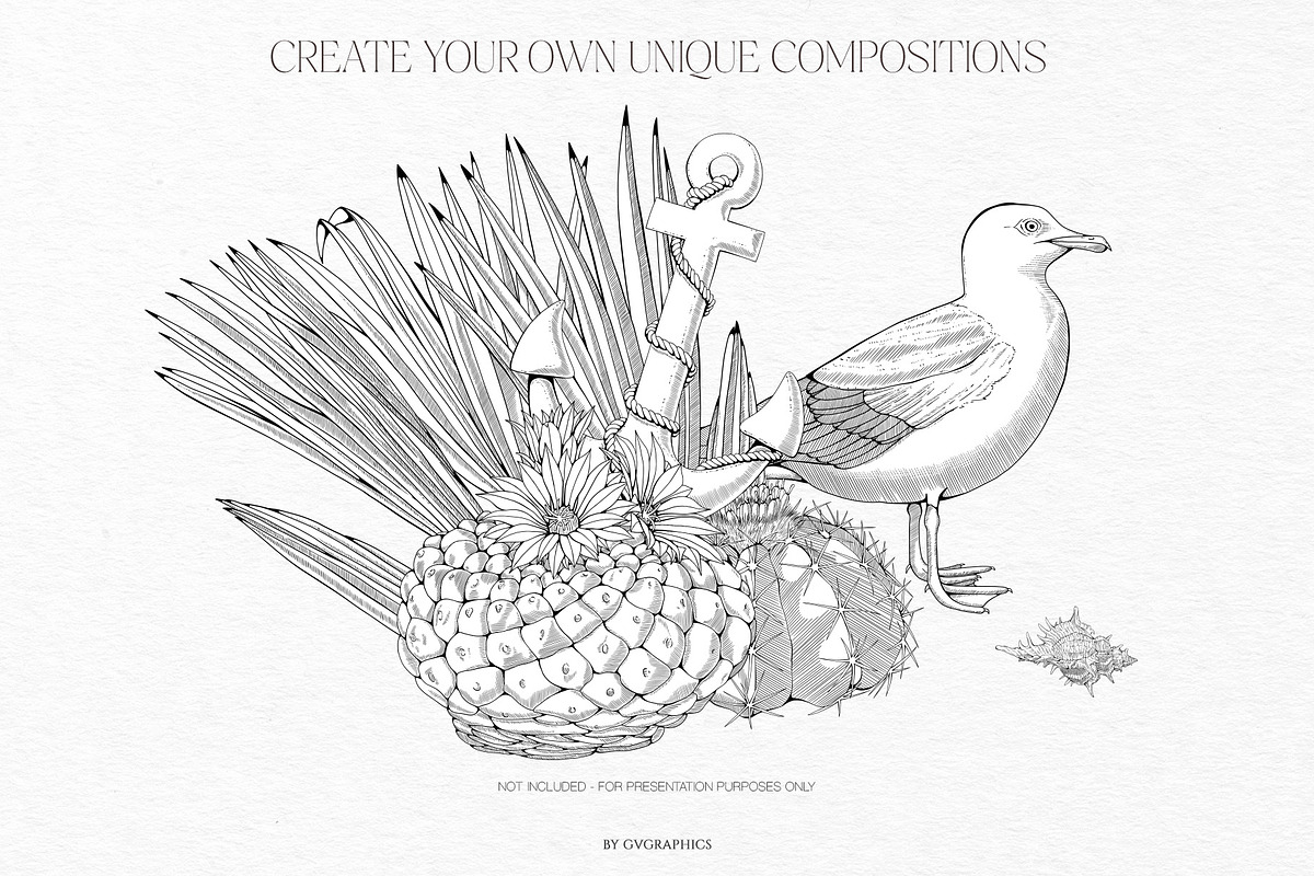 Summer Island Illustrations, an Animal Illustration by GVGraphics (Photo 6 of 9)
