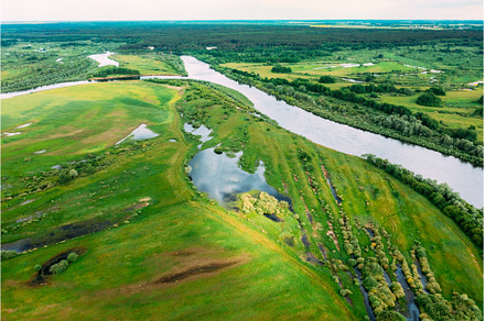 Aerial View. Green Forest, Meadow, a Nature Photo by Our Amazing World