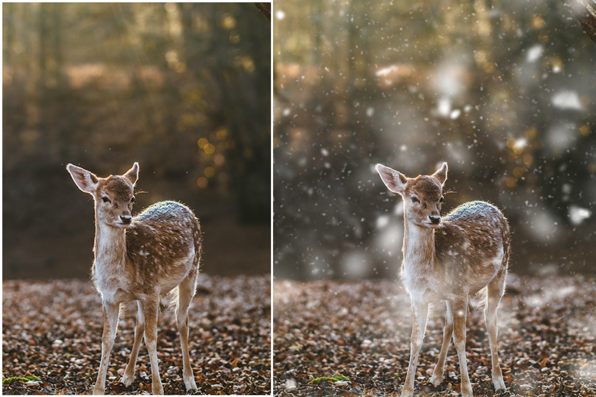 Snow Photoshop Action, an Action Add-On by LUXDesignStudios (Photo 5 of 7)