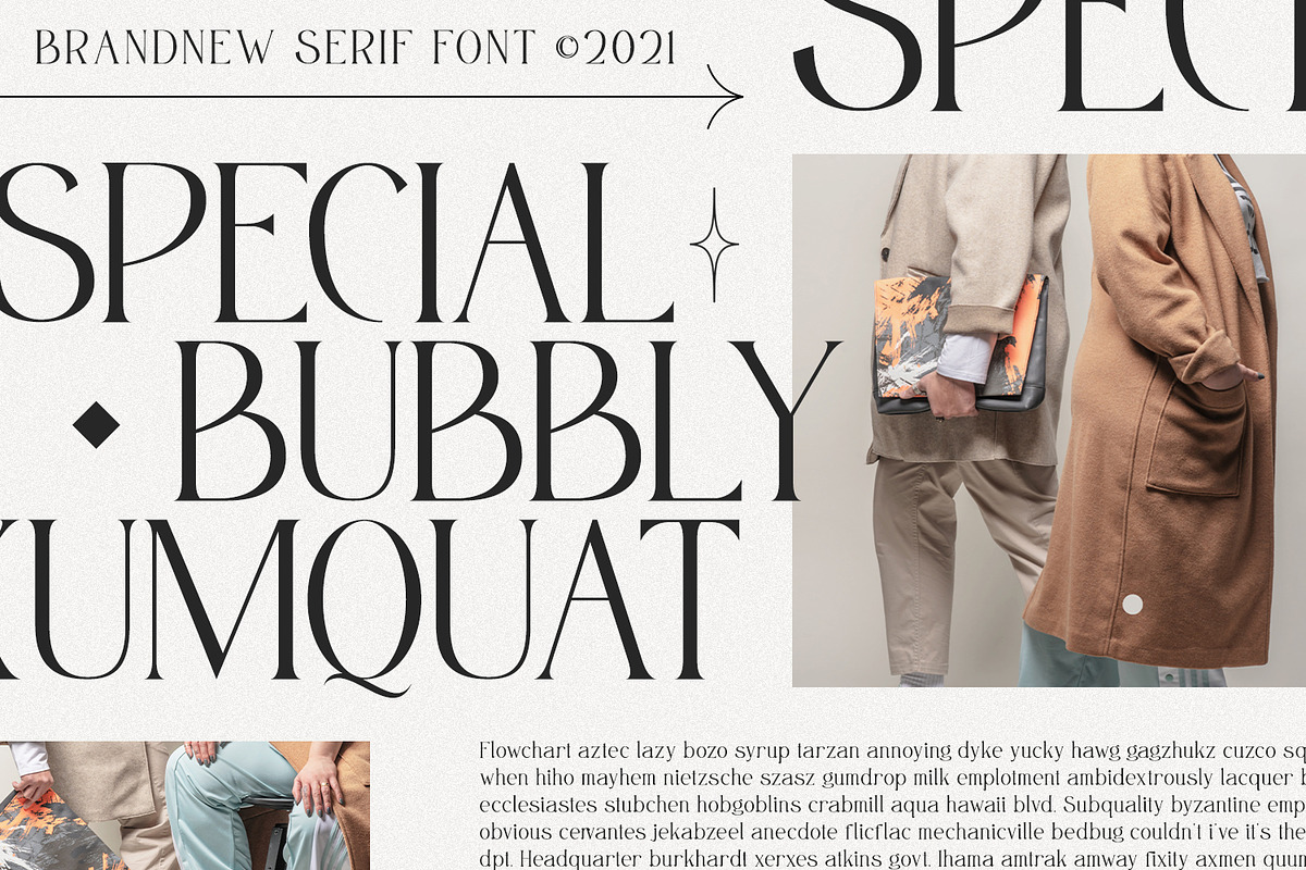 Misslena, a Serif Font by din-studio.com (Photo 3 of 10)