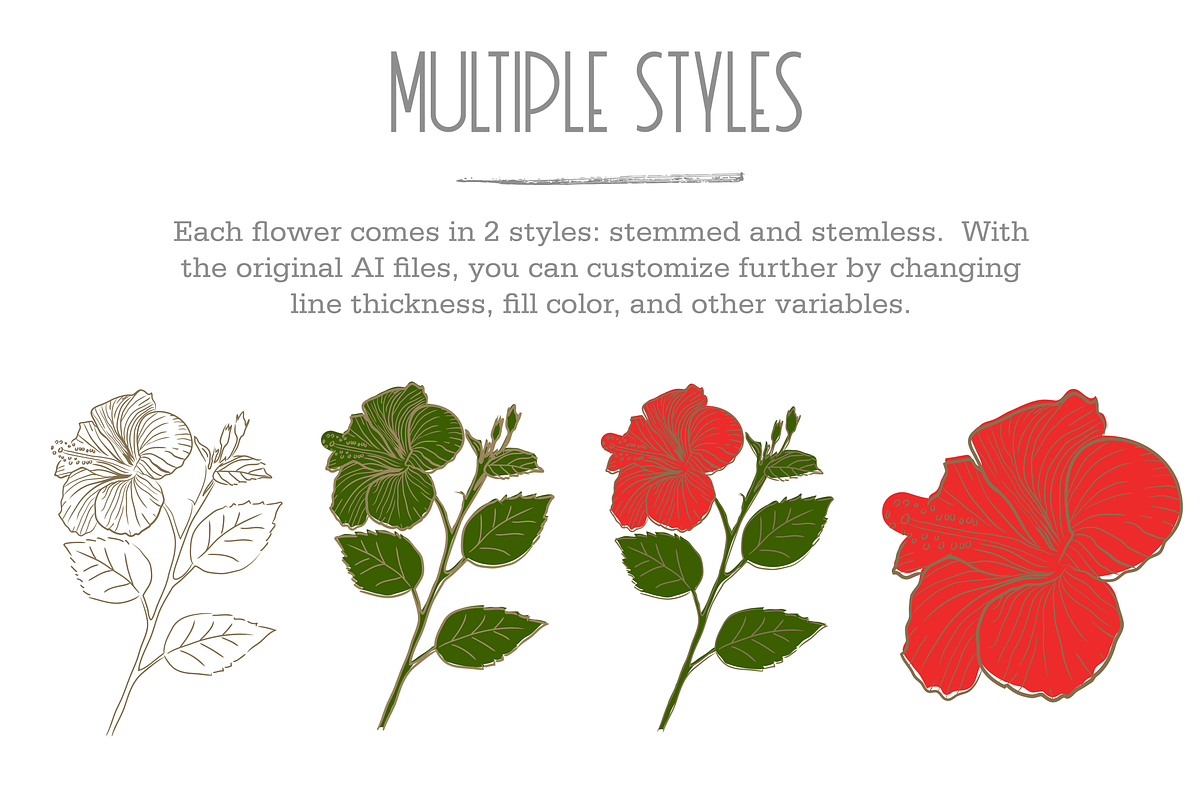 HandDrawn Flower Library, an Illustration by Linseed Studio (Photo 7 of 10)
