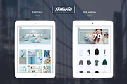 Astoria - Multi-purpose WP Theme, a WordPress Template by ThemeREX (Thumbnail 2 of 3)