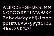 Glyke - Grotesque Sans Serif, a Sans Serif Font by CCS Type (Thumbnail 2 of 17)