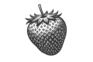 Detailed Strawberry in Vintage, a Food Illustration by AlexArt