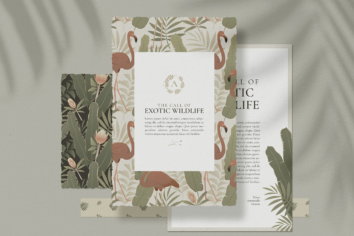 Exotic Wildlife Illustrations, a Decorative Illustration by Wild and Wonder by Ana (Photo 4 of 13)