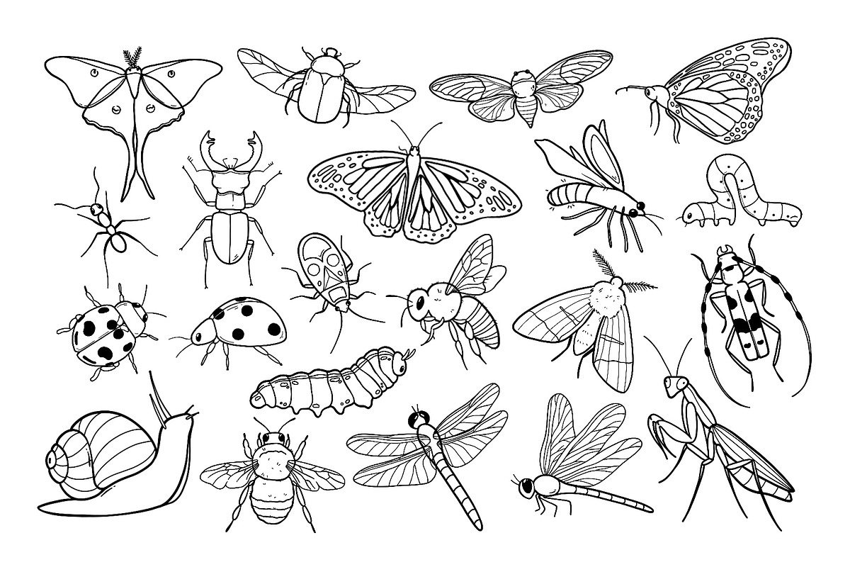 Insects and Bugs SVG PNG Bundle, an Animal Illustration by ArtGiftsStudio (Photo 3 of 5)