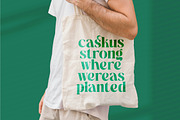 The Bencoy Modern Serif Display, a Serif Font by timelesstype.co (Thumbnail 13 of 20)