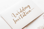 Niralise Vale - Elegant Script, a Script Font by Indotype Foundry (Thumbnail 7 of 10)