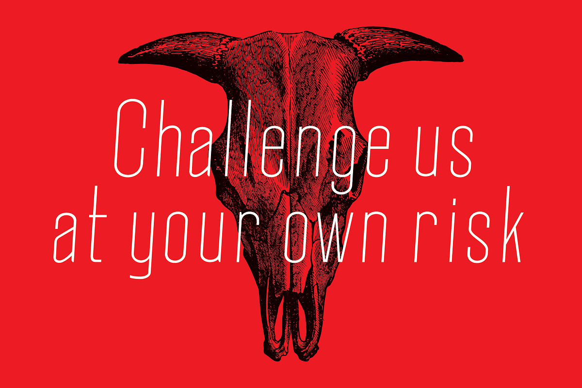 Okana Condensed Sans Serif, a Sans Serif Font by CorgiAstronaut (Photo 7 of 9)
